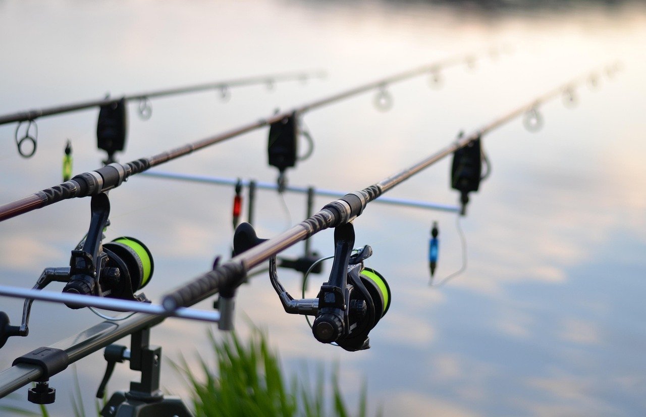 fishing reels